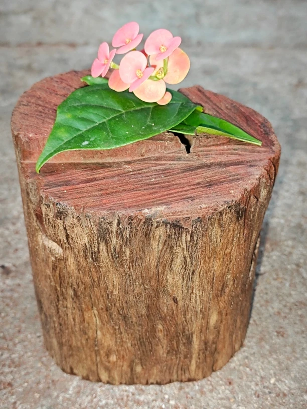 印度小叶紫檀 百年拆房老料 重1.9斤