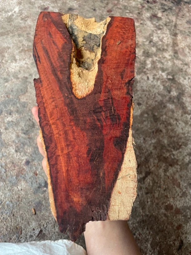 印度小叶紫檀老料水波原木