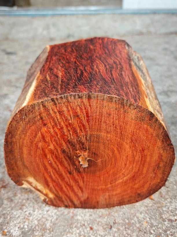 印度小叶紫檀 原木料