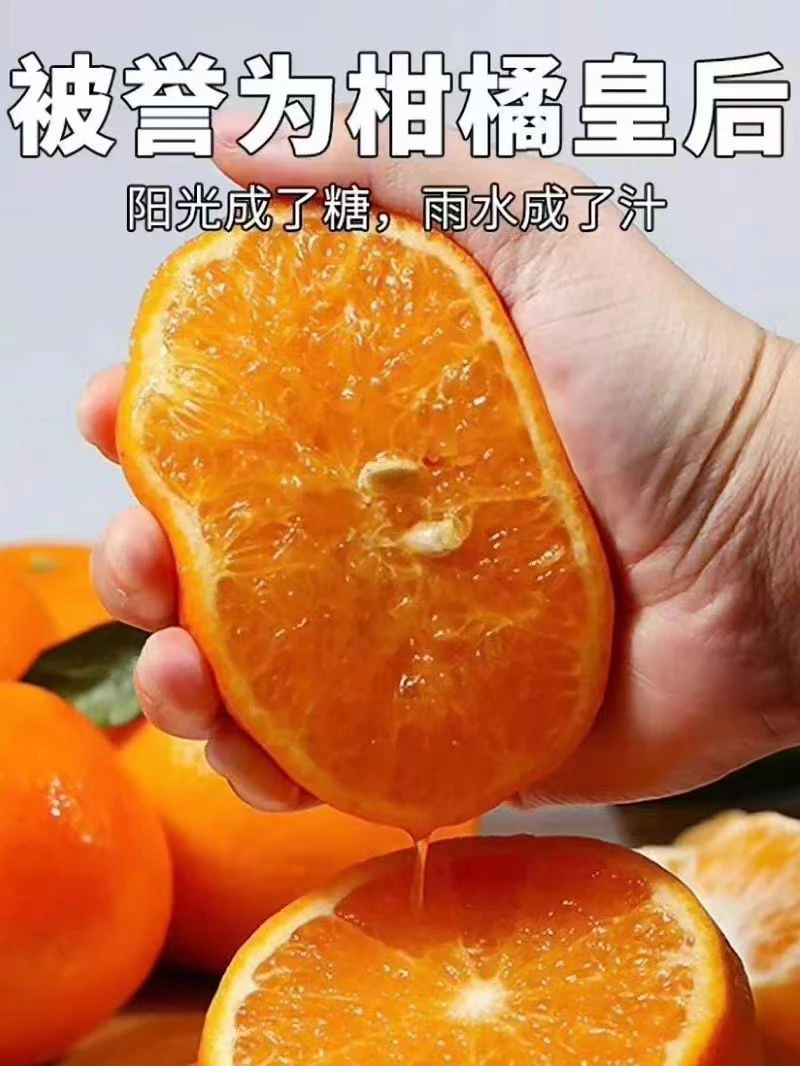 鹿茸菇1斤云南新鲜上市