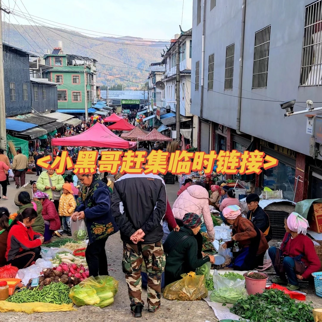 释迦果【水果蔬菜临时链接7】临时链接