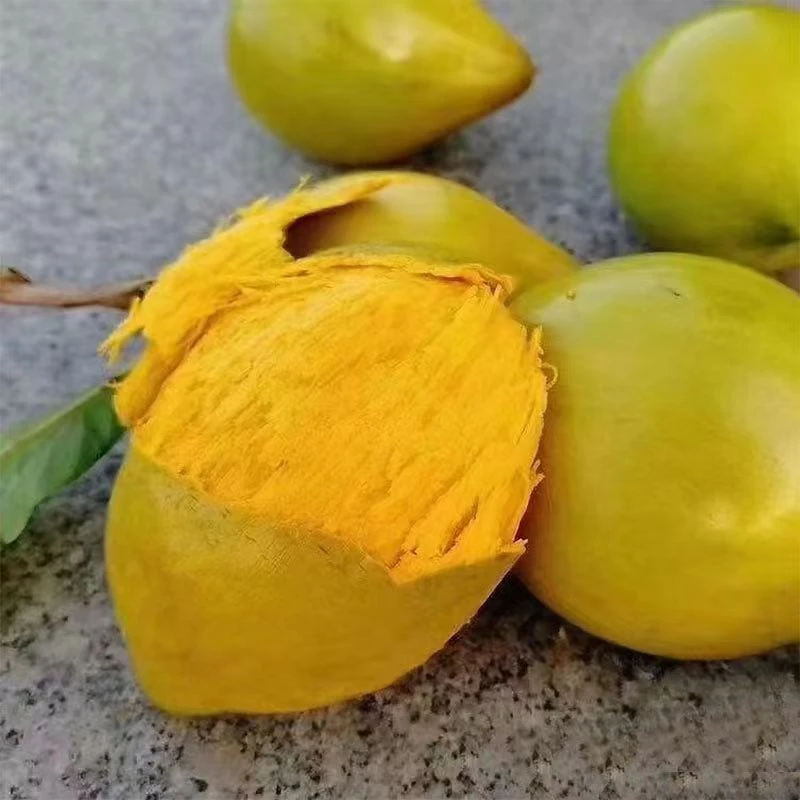 【黑哥精选】鸡蛋果，蛋黄果（新鲜采摘，产地直发）优质农产品