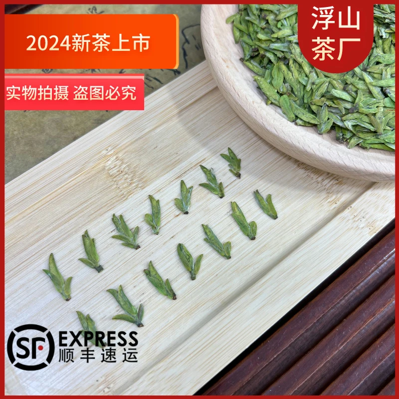 【2024新茶L66款米芽系列绿罐】头采明前绿茶全小米芽浙江