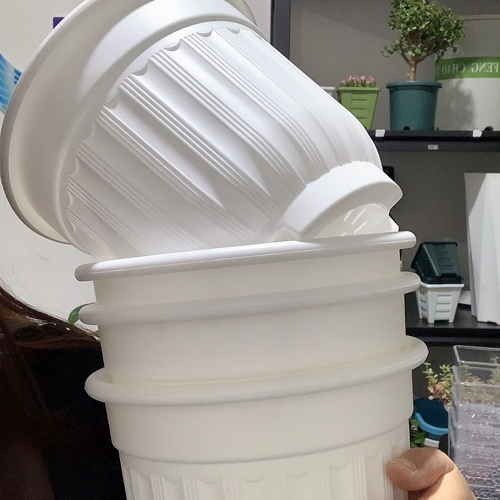 树脂20CM（含）-50CM（不含）罗马210白色5个无托