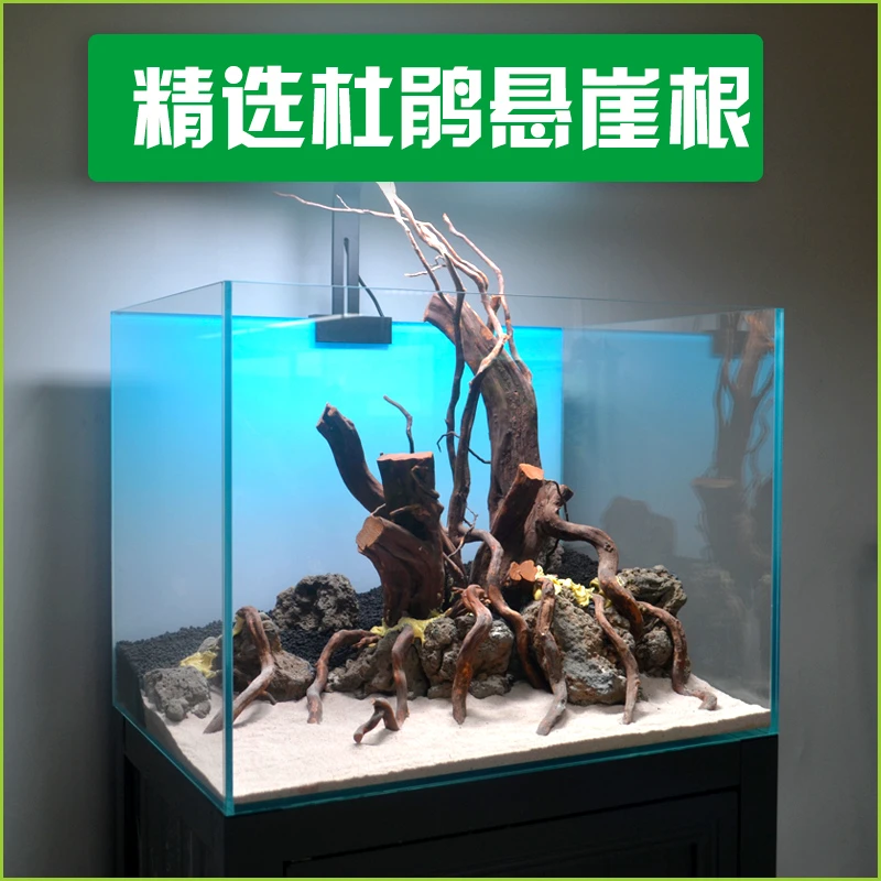 B5鱼缸造景摆件杜鹃根100以上