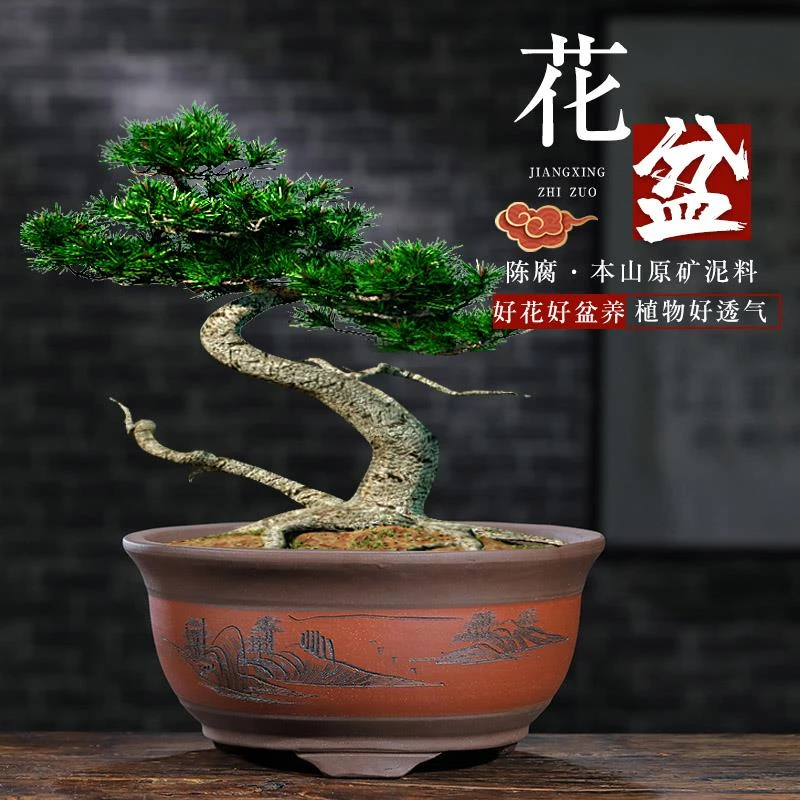 紫砂花盆老桩盆栽简约桌花卉植发财树多肉盆景盆专用陶瓷花盆大号