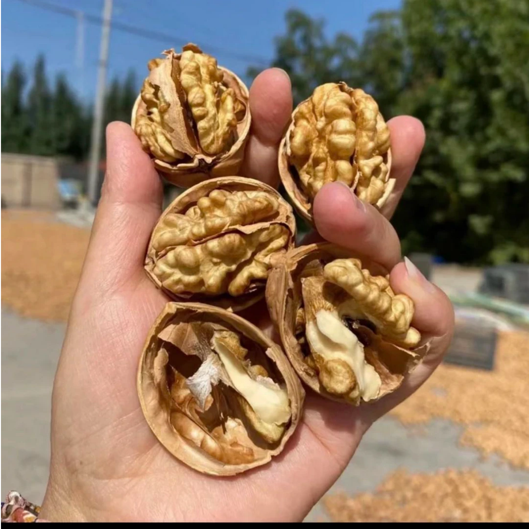 品味西域25年新货新疆阿克苏185正宗纸皮核桃皮薄肉厚手剥即开