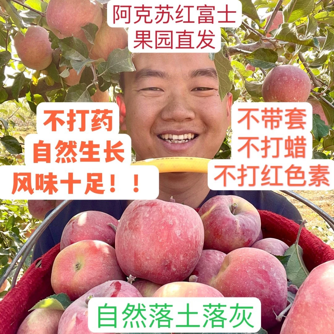 正宗阿克苏苹果(无打蜡 无保鲜剂）净重5斤/9斤