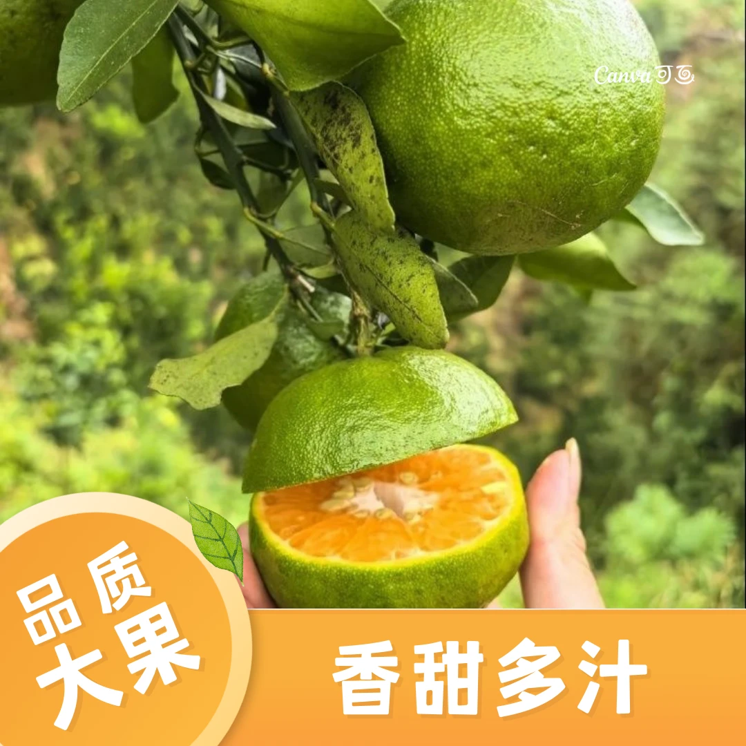 正宗云南沃柑好吃新鲜水果多汁当季特甜整箱