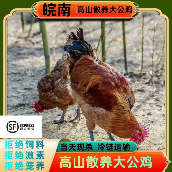 【2只土公鸡】皖南大别山农家山间散养大公鸡(两只5-6斤)肉嫩鲜香