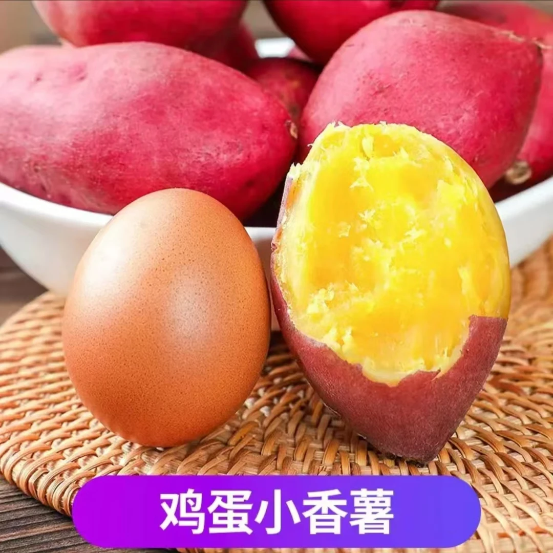 【新鲜现挖】鸡蛋薯临安天目山小香薯黄心板栗红薯正宗临安小香薯