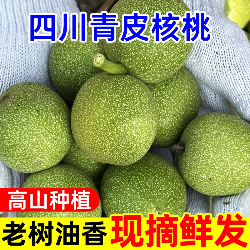 【带青皮】2024新鲜四川大凉山核桃带青皮湿嫩鲜核桃现摘新鲜湿核桃