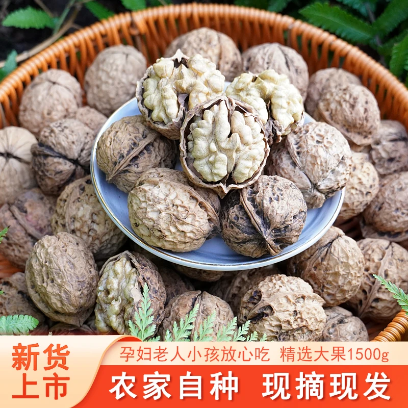 高山老树纸皮核桃薄皮核桃当季新货原味新鲜生干果无漂洗香醇可口