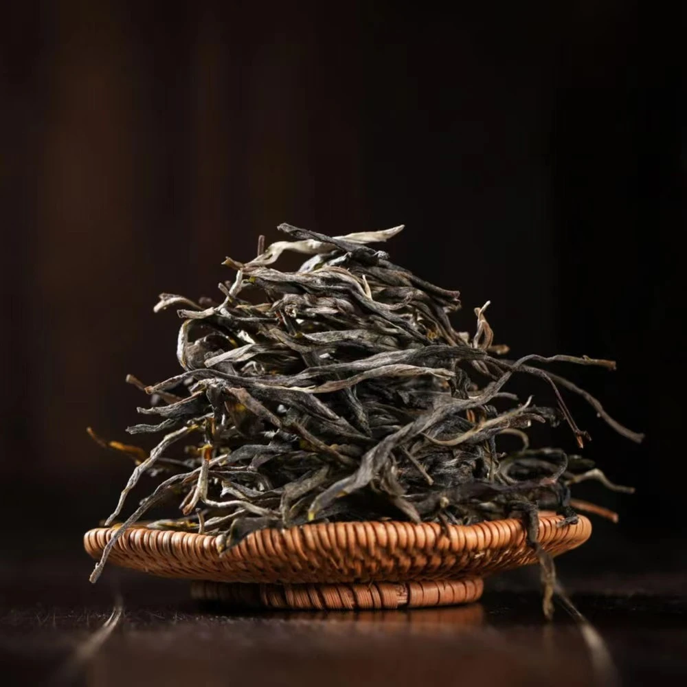 【精】2021年天门山古树生散（生茶）