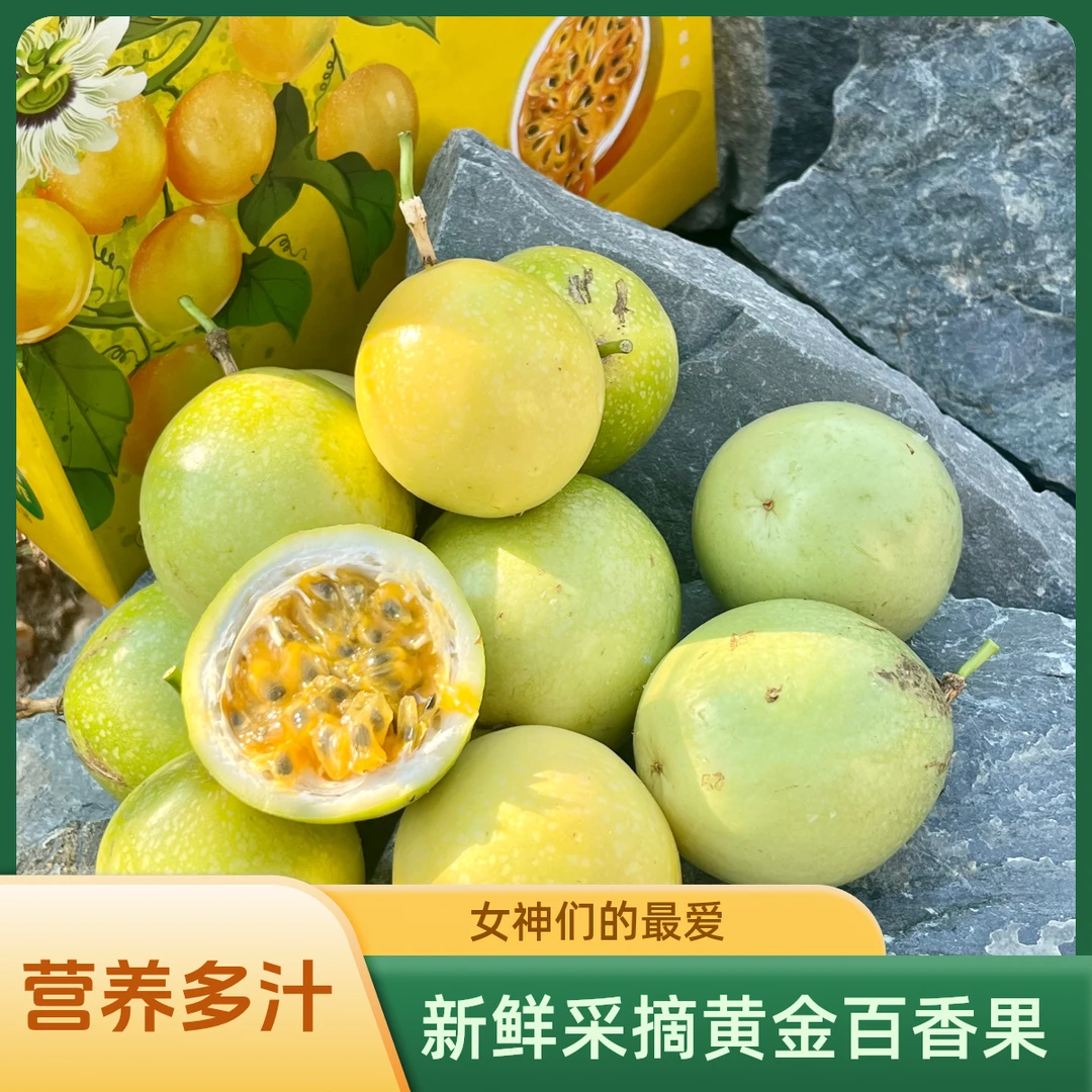 新鲜采摘钦蜜九号大果黄金百香果现摘现发8分熟发货百香果钦蜜九