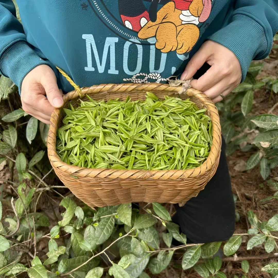 陕青茶安康富硒茶手工口粮茶