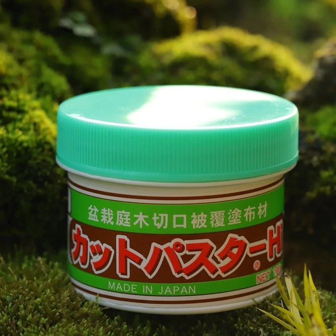 进口松柏专用愈合泥（190G）（盆景用品）