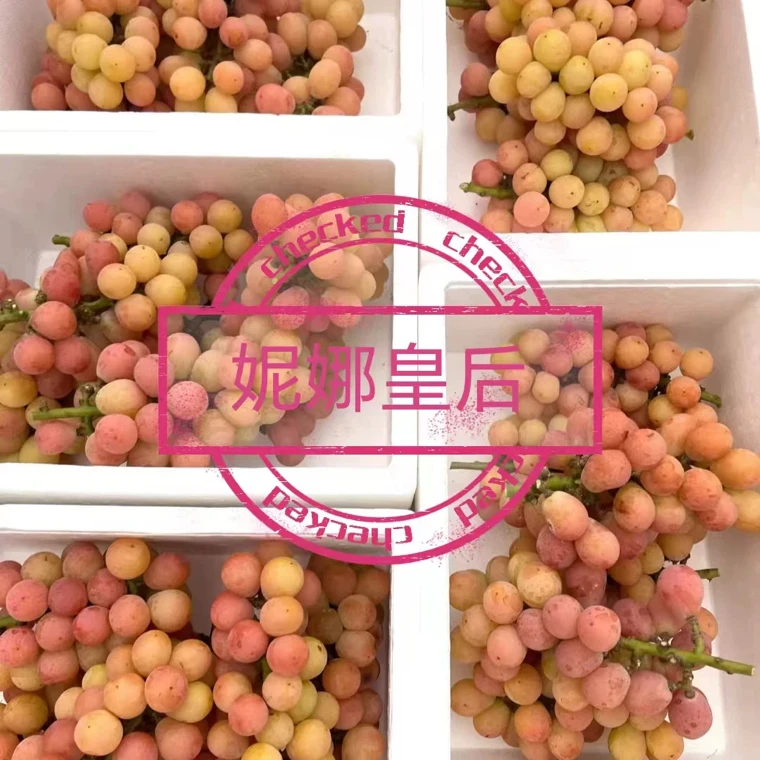 妮娜皇后葡萄新鲜花香酒香现采现发自然长熟孕妇水果红粉黄二级果