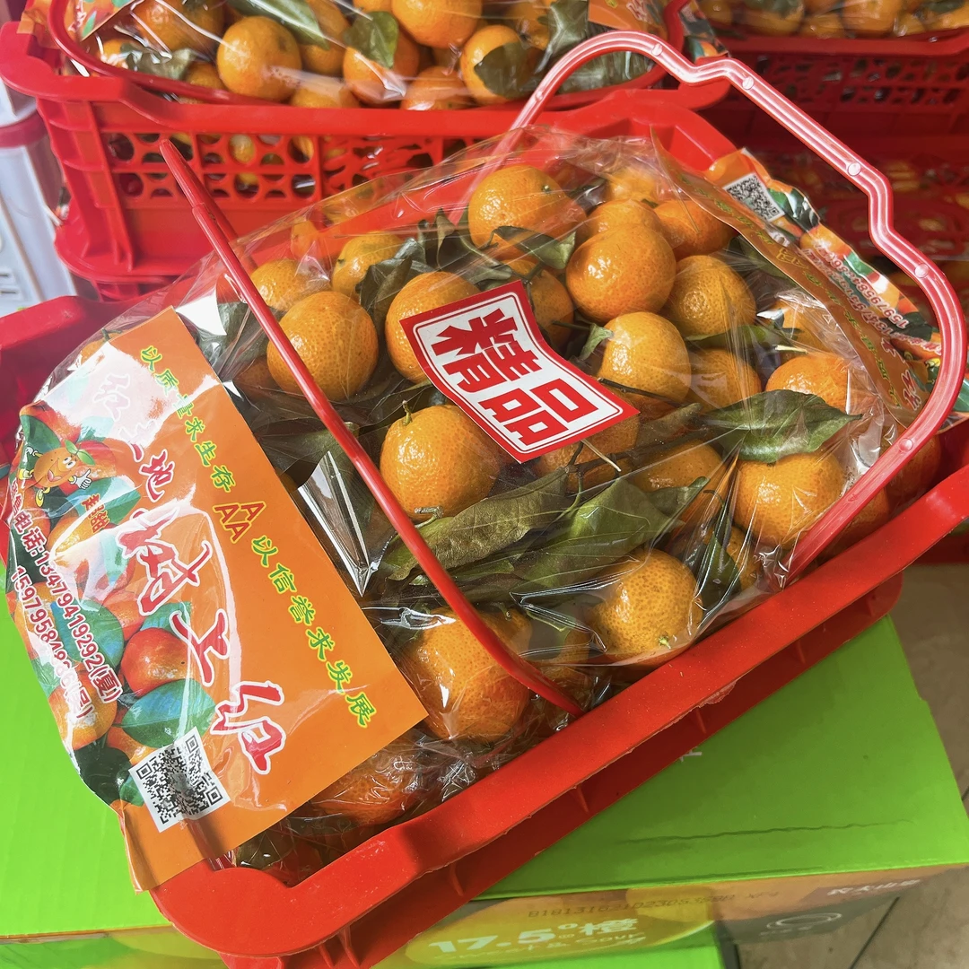 【年货节】精品砂糖橘1箱6斤装 新鲜采摘甜蜜蜜
