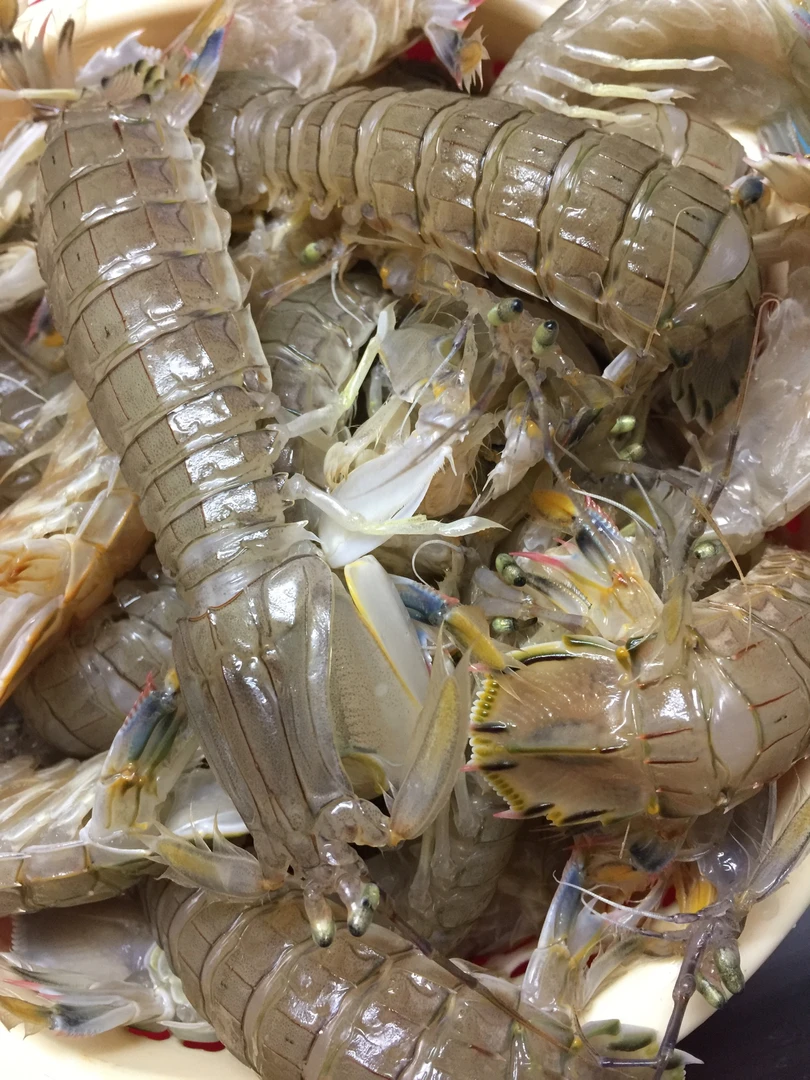 皮皮虾包肥中号虾婆虾蛄冷冻濑尿虾富贵虾非即食海鲜水产大虾