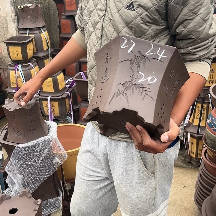 红陶20CM（含）-50CM（不含）