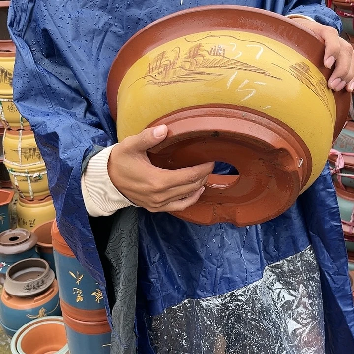 紫砂20CM（含）-50CM（不含）