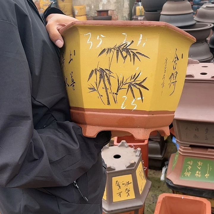 紫砂20CM（含）-50CM（不含）