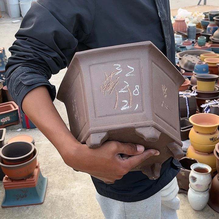 紫砂20CM（含）-50CM（不含）