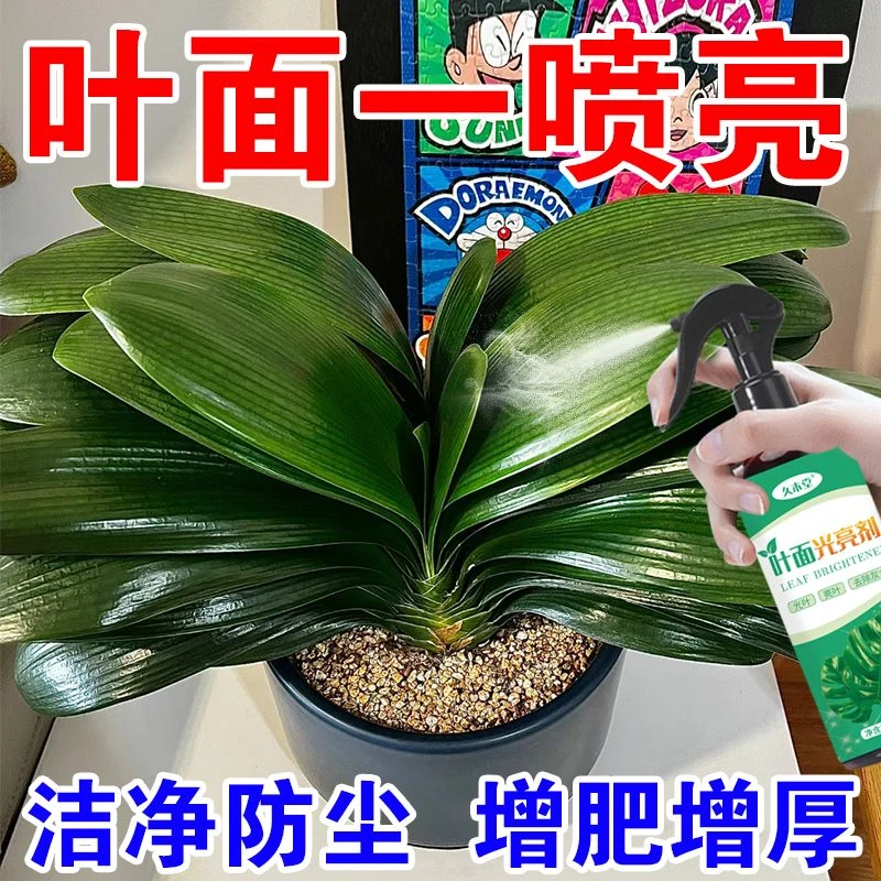 植物叶面光亮剂花卉清洁叶面一喷净盆栽绿植叶子增亮亮叶剂