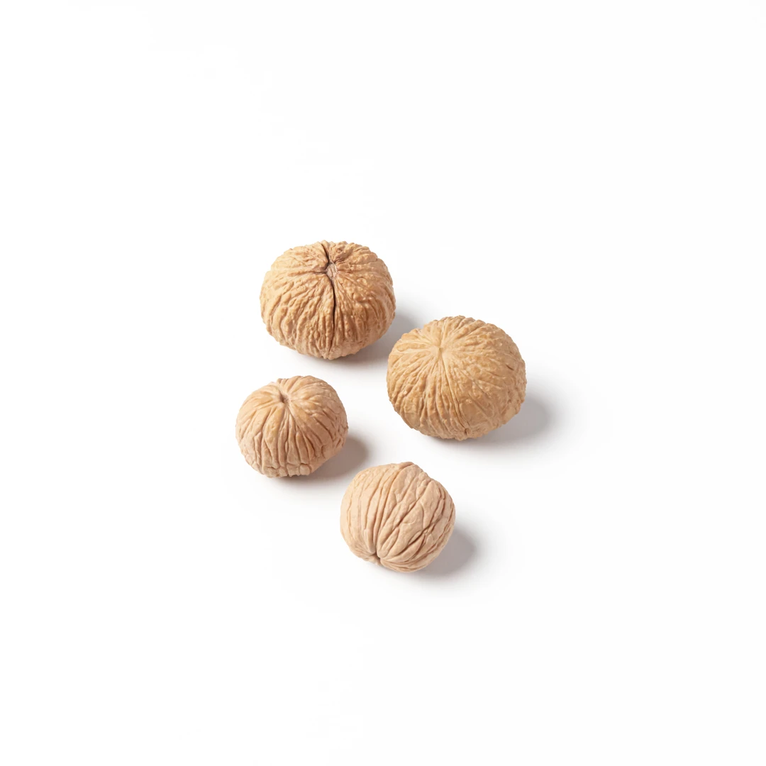 猴头手捻【红阳会长出品】全品猴头核桃