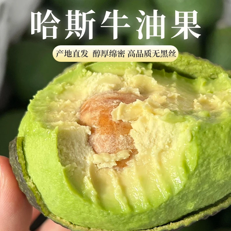 滇西小哥 云南孟连哈斯牛油果 绵密 应季 【顺丰】
