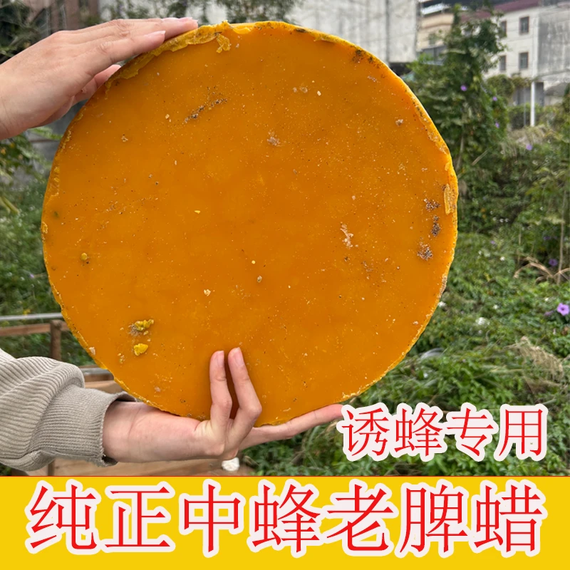 蜂蜡养蜂诱蜂中蜂优质蜂腊引蜂招蜜蜂蜡野外蜂蜡纯正土蜂蜡诱蜂桶