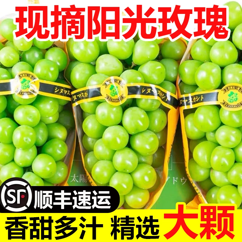 运城阳光玫瑰青提纯甜无籽(一级精品果)顺丰包邮礼盒装水果