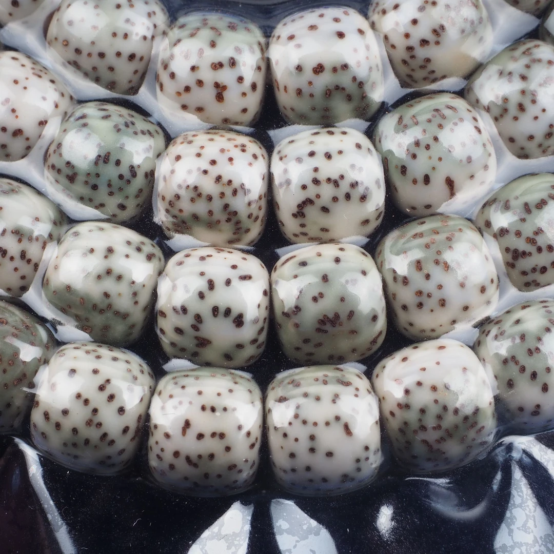 天成籽！青花瓷！老玩家的梦！原生态同枝石玉料星月菩提。