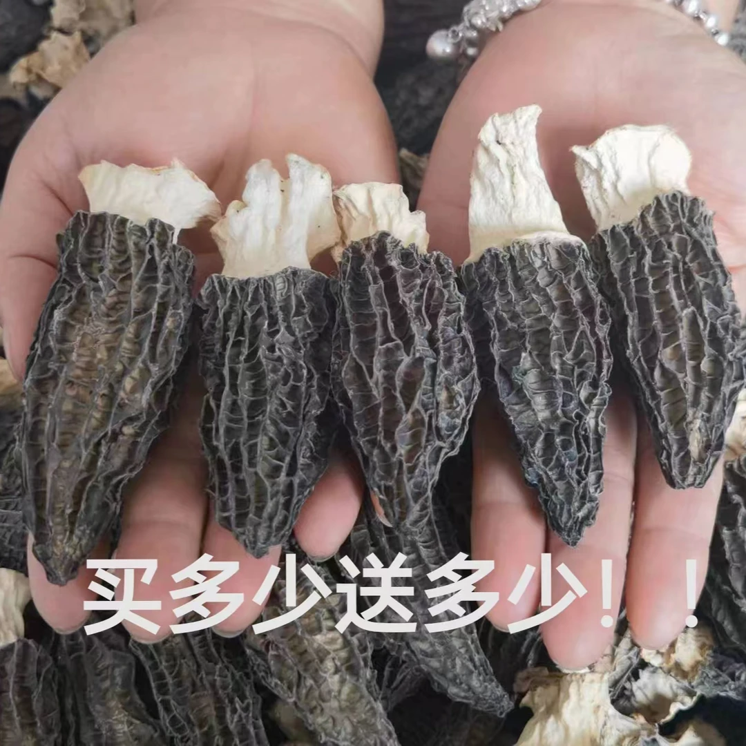 [限量福利250g]云南高山羊肚菌4-7公分