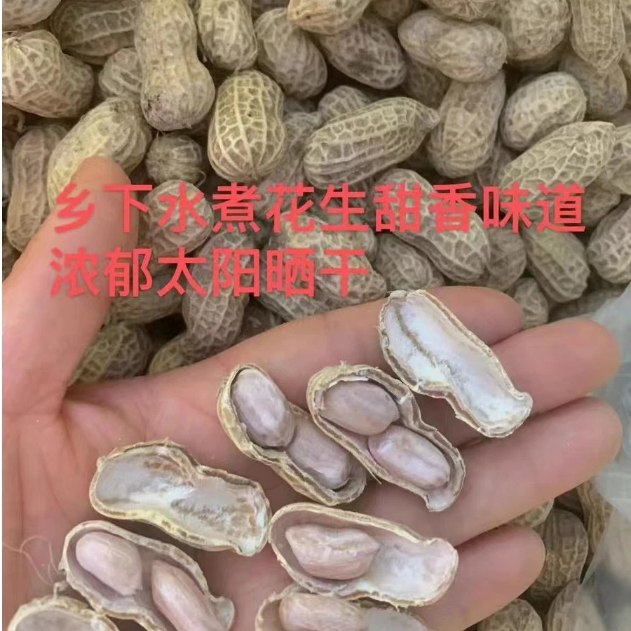 英德大洞乡下农家自晒水煮花生