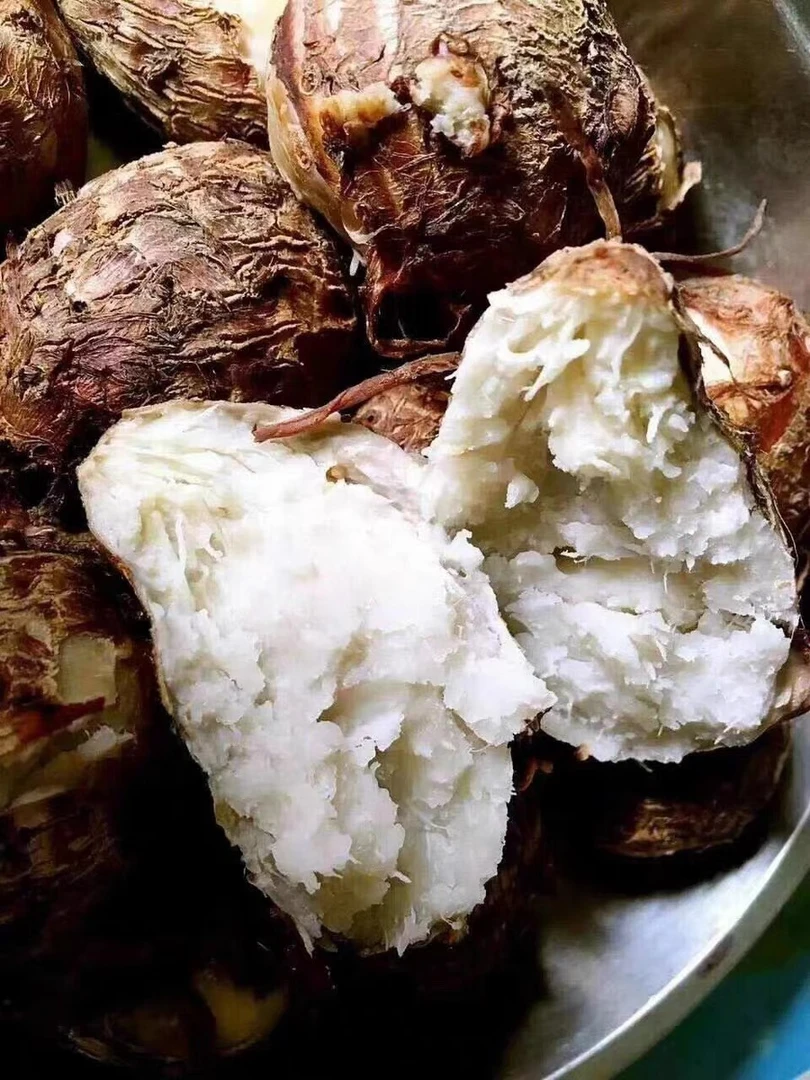 英德大洞乡下红芽芋头子灌溉大山里流下的山水肉质鲜嫩滑口带粘