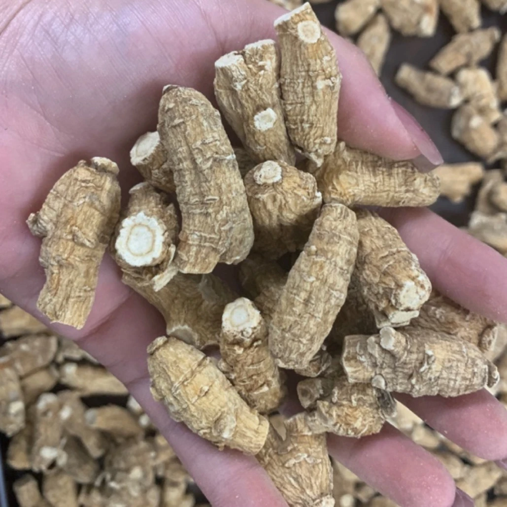 雅姿娘 干货炖汤加大西洋参煲汤鱼胶搭配泡水营养精选3克参段精选
