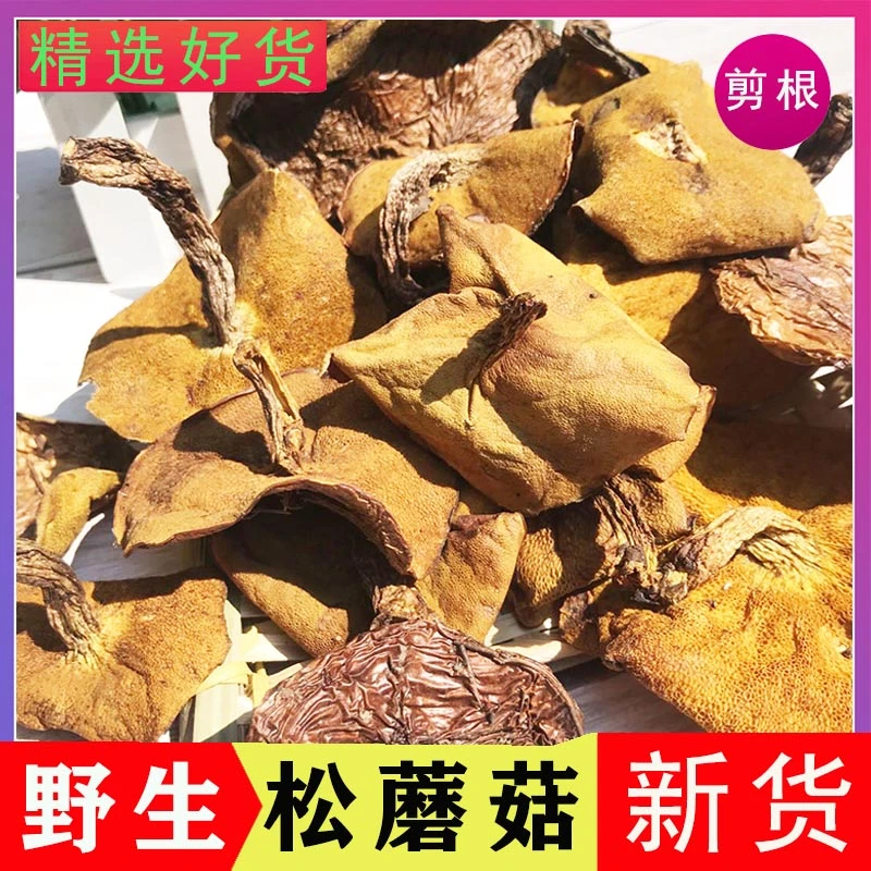2024年松菇承德特产松蘑菇新干货野生粘团子食用菌黑蘑菇松蛾