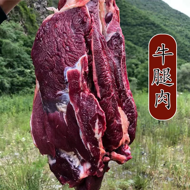 牛腿肉5斤清真国产鲁西黄牛无骨大块净 顺丰包邮