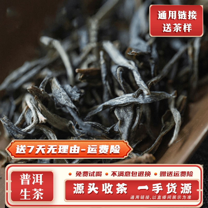 普洱茶351号500g2024年勐库坝卡甲山古树混采生茶带茶样MK496