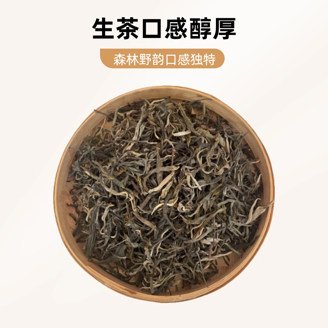 2024 年 4 月云南西双版纳易武高山森林野韵普洱茶生茶