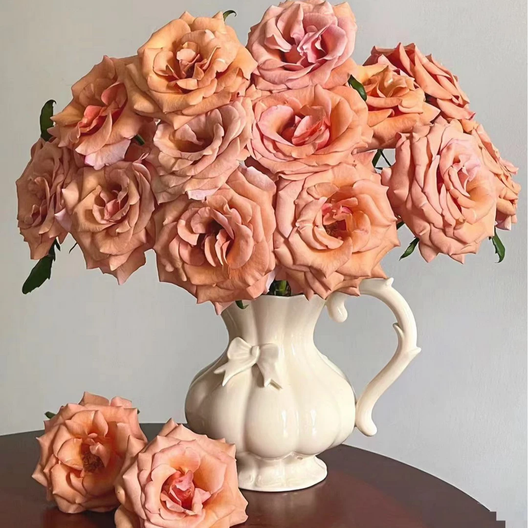 不包邮2单起发【莫泊玫瑰链接】鲜切花美观养护