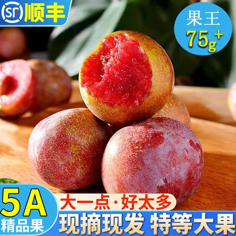 古田芙蓉李红心李三华李子桃形奈李酸甜脆孕妇新鲜水果
