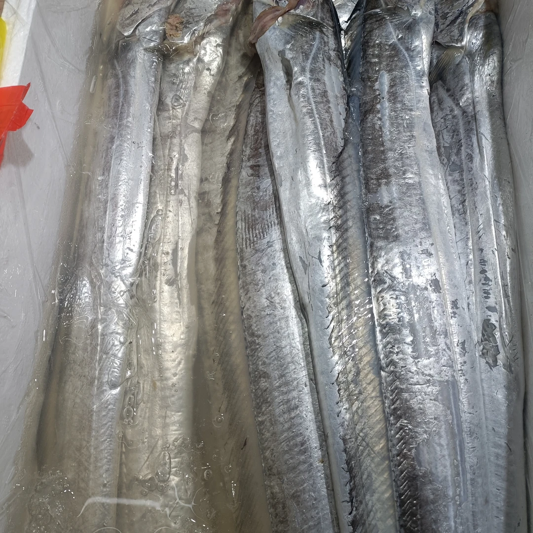 国产带鱼 一条1.4斤左右  鲜嫩 可以清蒸