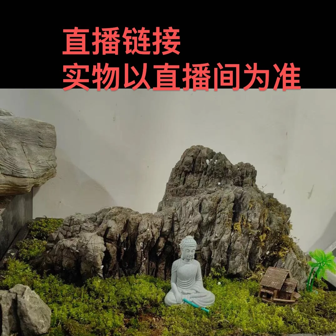 Q广西龟纹石 山水纹石,天然美景270