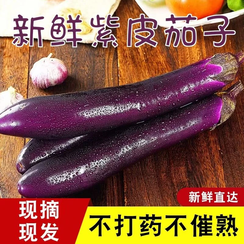 【农家自种】正宗广西紫皮茄子新鲜产地直销软糯鲜嫩现摘现卖当季