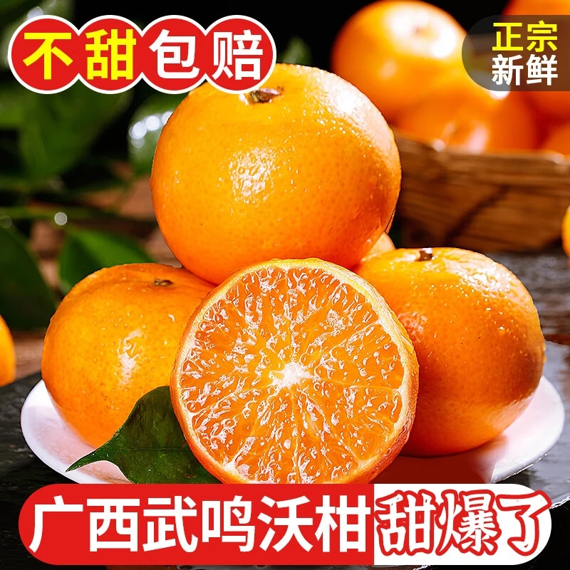 正宗广西武鸣高山沃柑新鲜水果现摘现发当季整箱包邮桔子砂糖橘