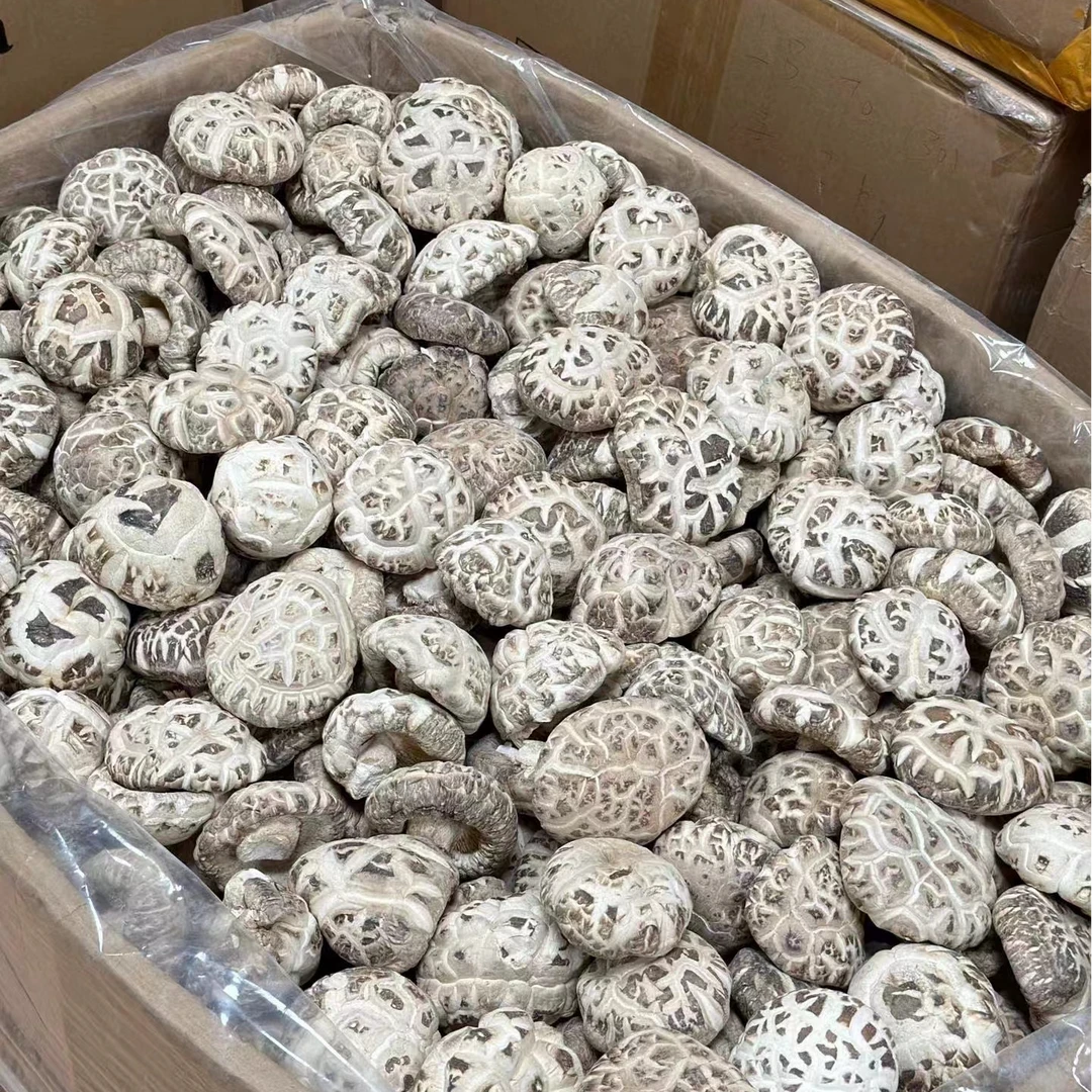 【大花菇】干香菇冬菇爽滑可口原产地直发湖北兴利