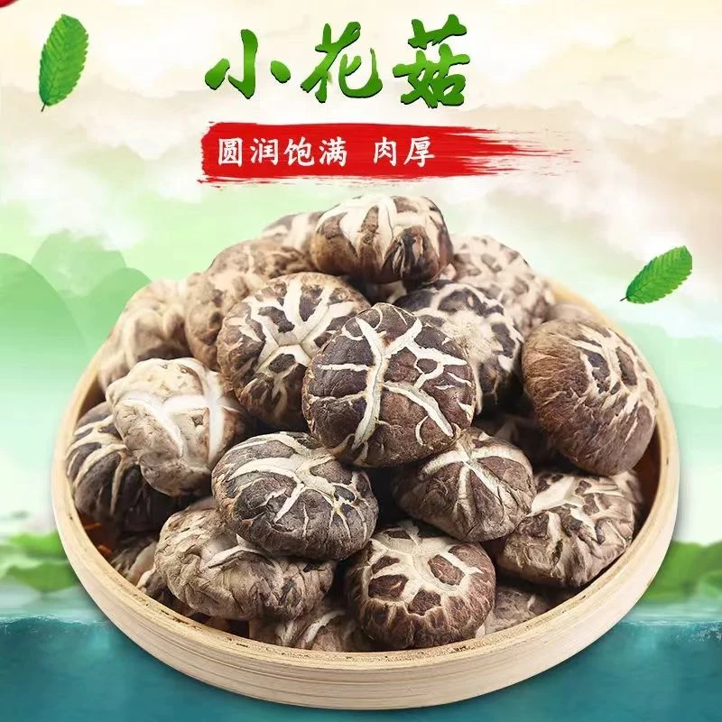 精选小花菇【拍半斤送10包酱】出口品质源头产地直供